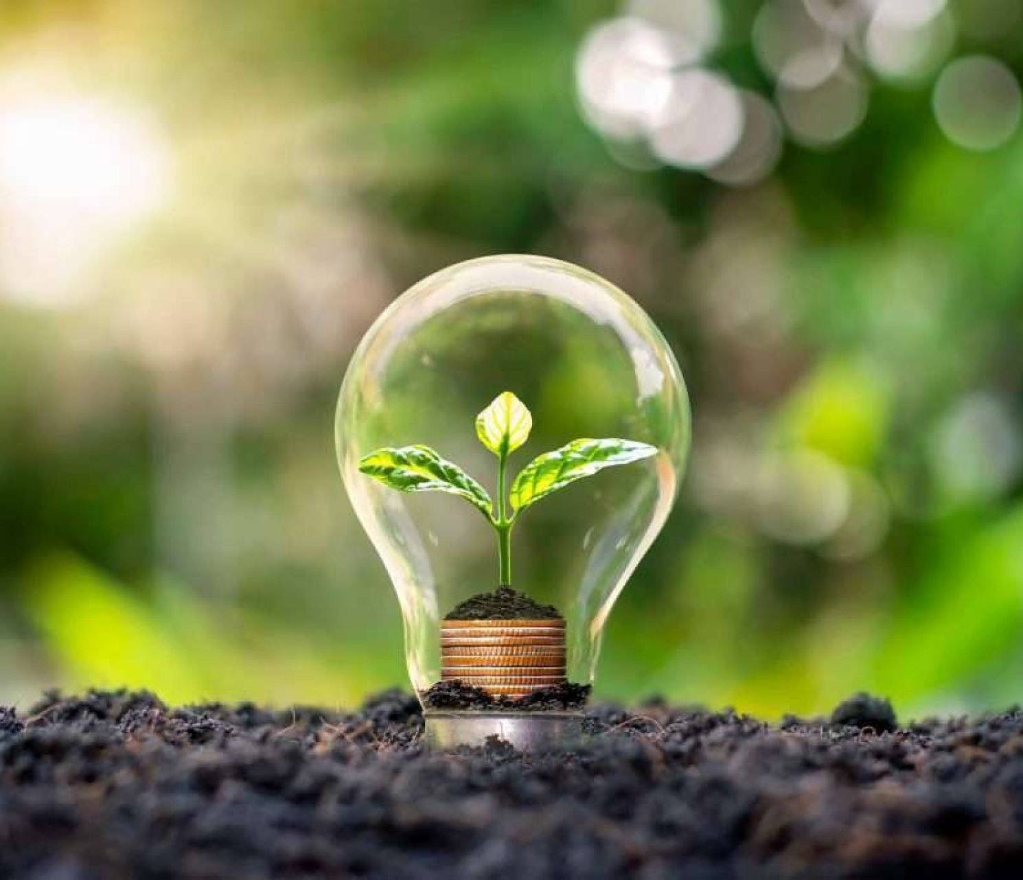 Tree grows in light bulbs, energy-saving and environmental concepts on Earth Day.