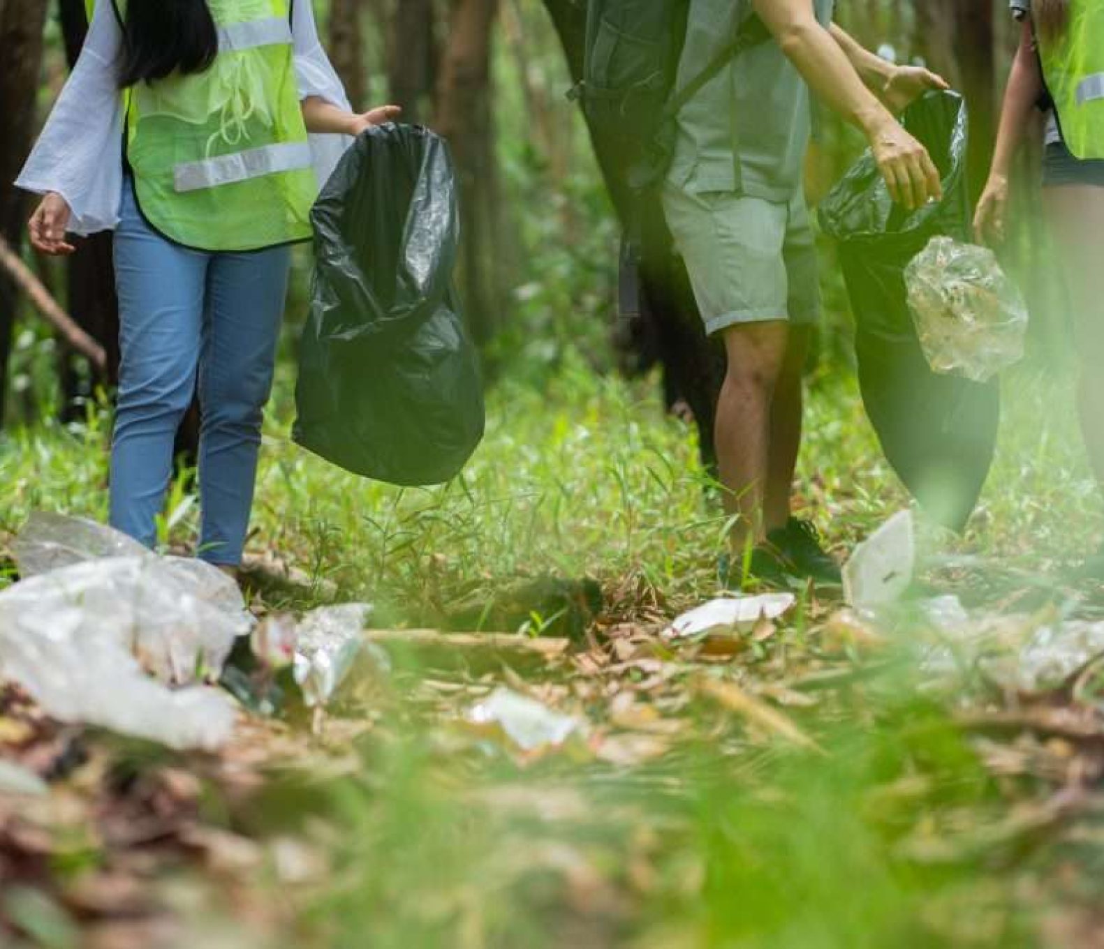 A group of volunteers collecting trash in the forest to save the environment with garbage bags.