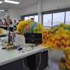 GTS Lion Dance 4